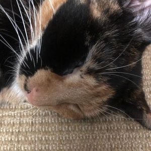 Meet your Posher, Joanne